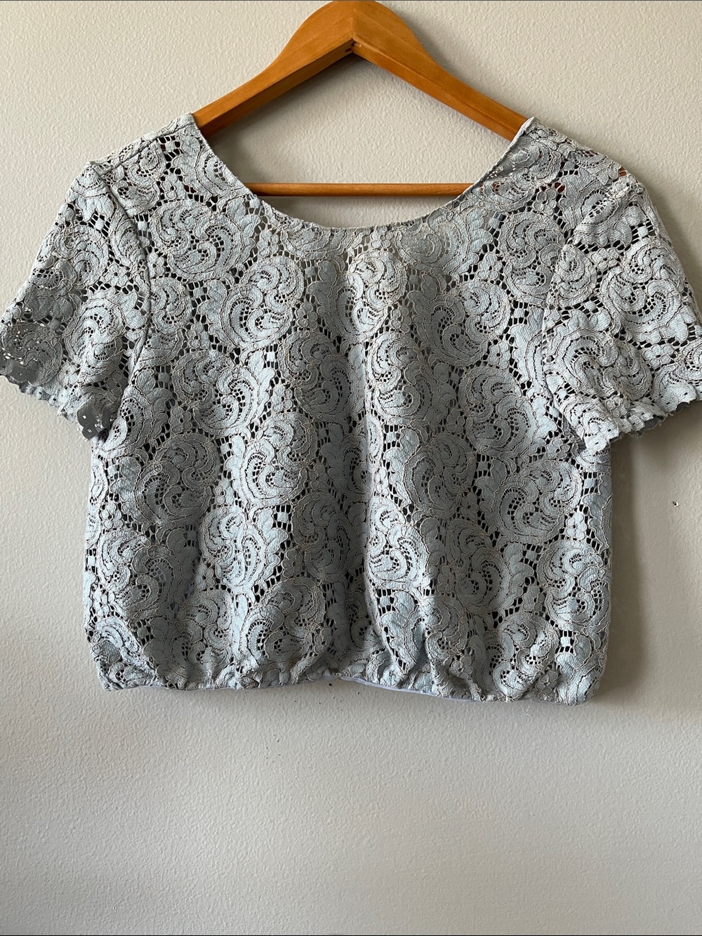 Zara open back Light Gray Lace Crop Top